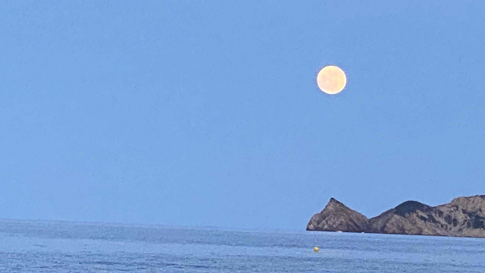 哈维亚La Casa Del Port公寓 外观 照片